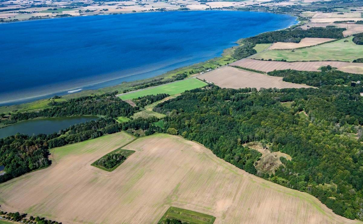 Billede af skov ved Tissø